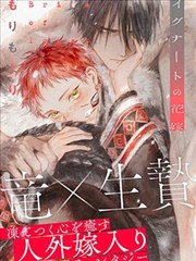 男人视频 狂野时速